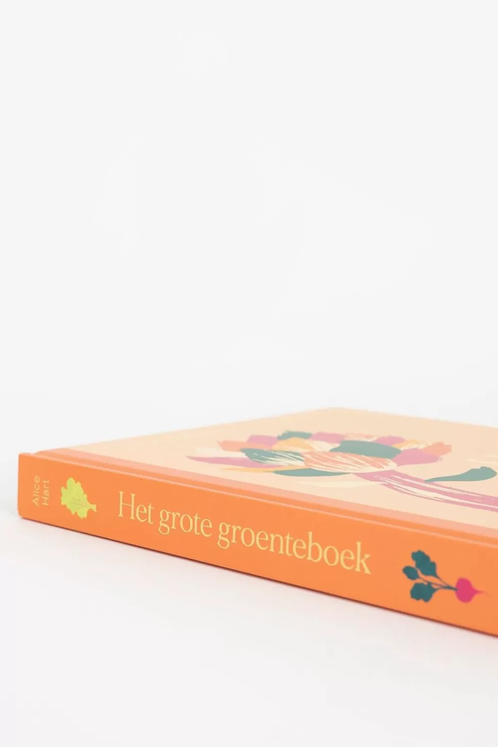 Sissy-Boy Boeken Boeken>Boek Het Grote Groenteboek