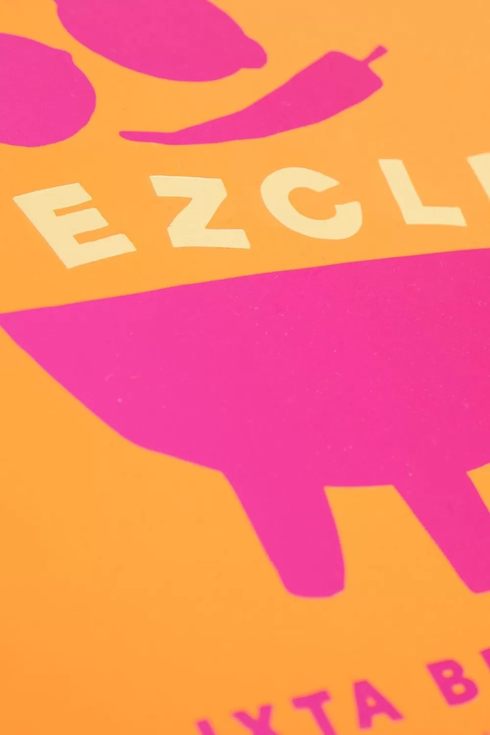Sissy-Boy Boeken Boeken>Boek Mezcla