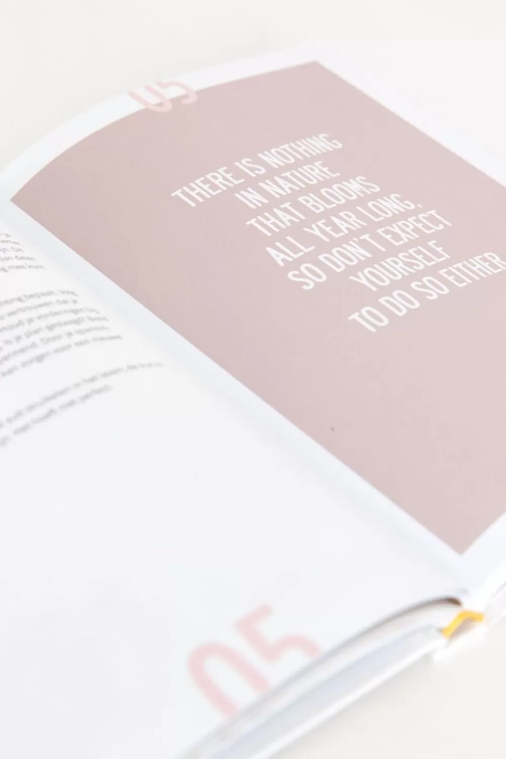 Sissy-Boy Boeken Boeken>Boek Rock Your Crystals