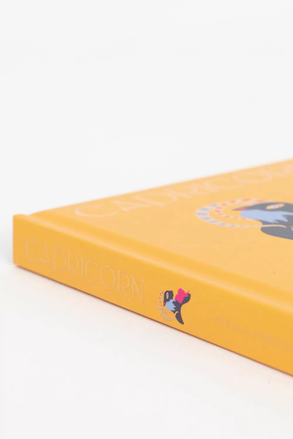 Sissy-Boy Boeken Boeken>Boek Seeing Stars Capricorn
