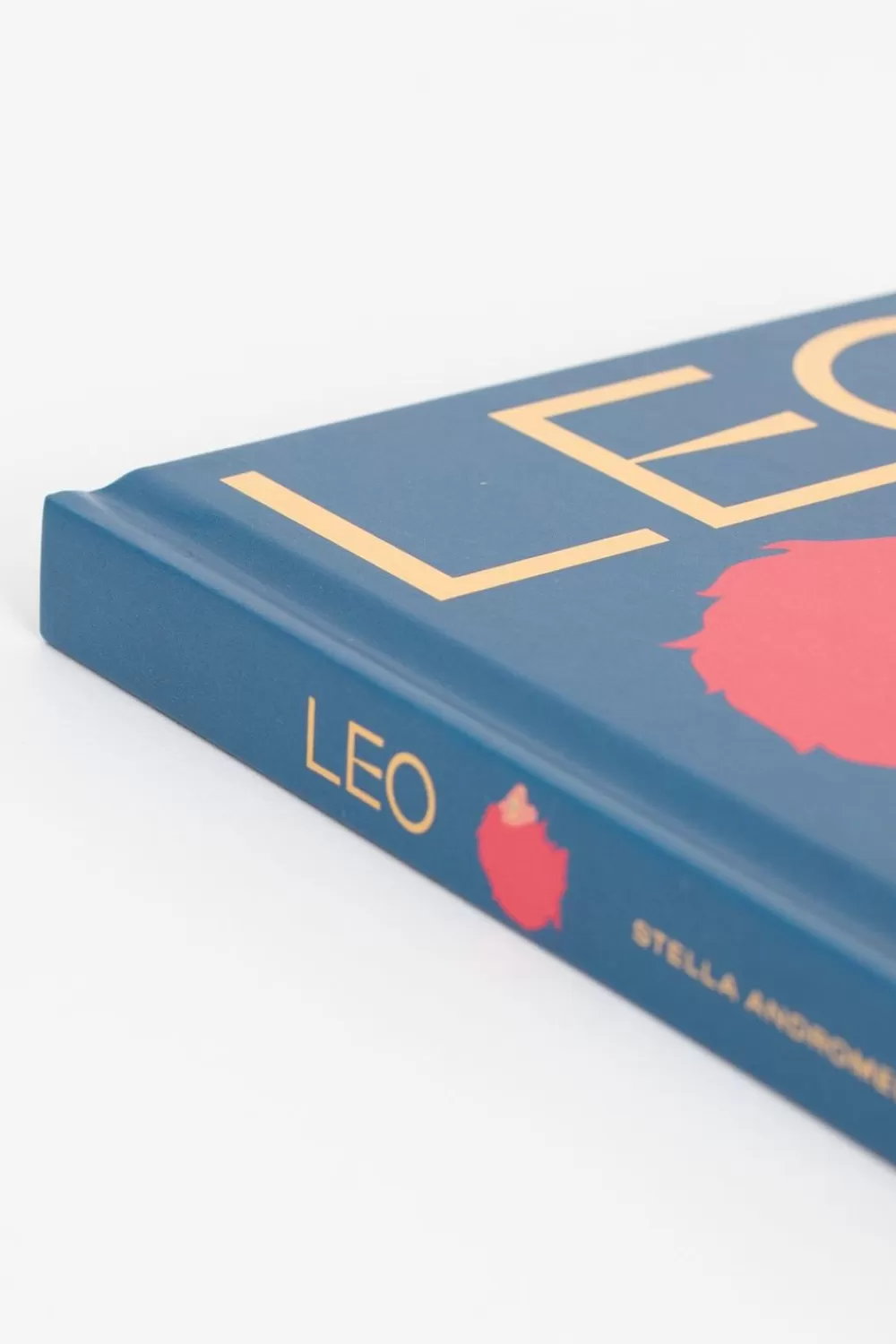 Sissy-Boy Boeken Boeken>Boek Seeing Stars Leo