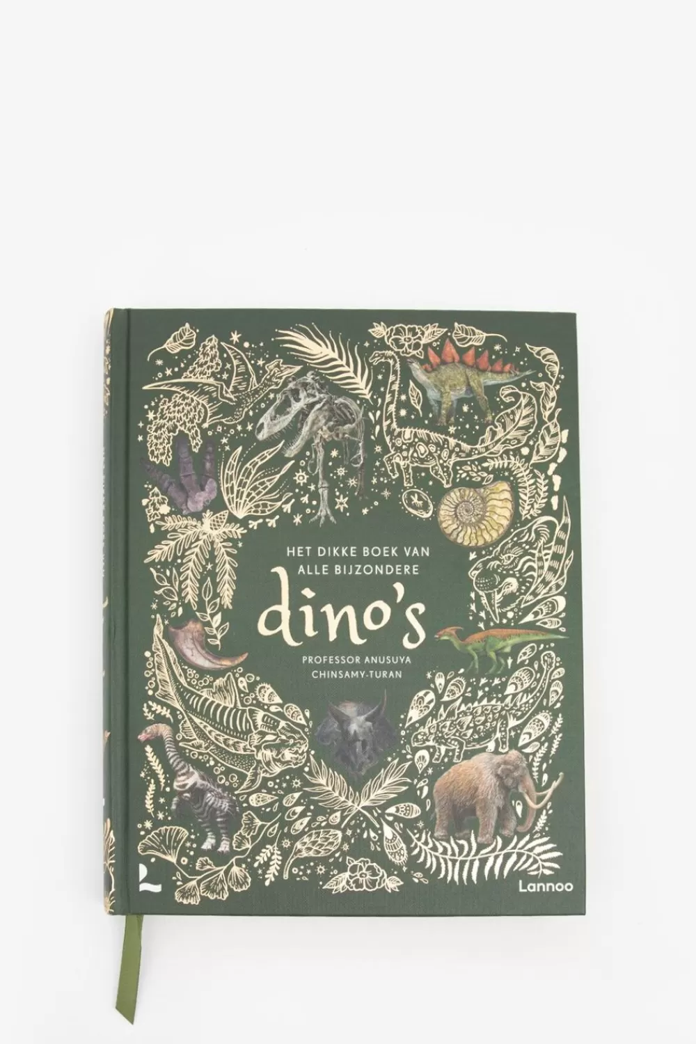 Sissy-Boy Boeken Boeken>Het Dikke Boek Van Bijzondere Dino'S