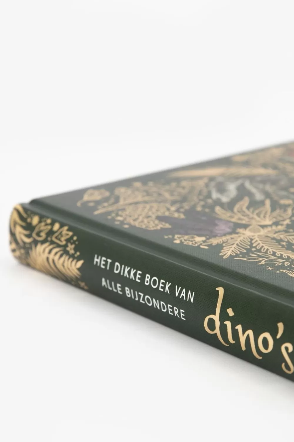 Sissy-Boy Boeken Boeken>Het Dikke Boek Van Bijzondere Dino'S