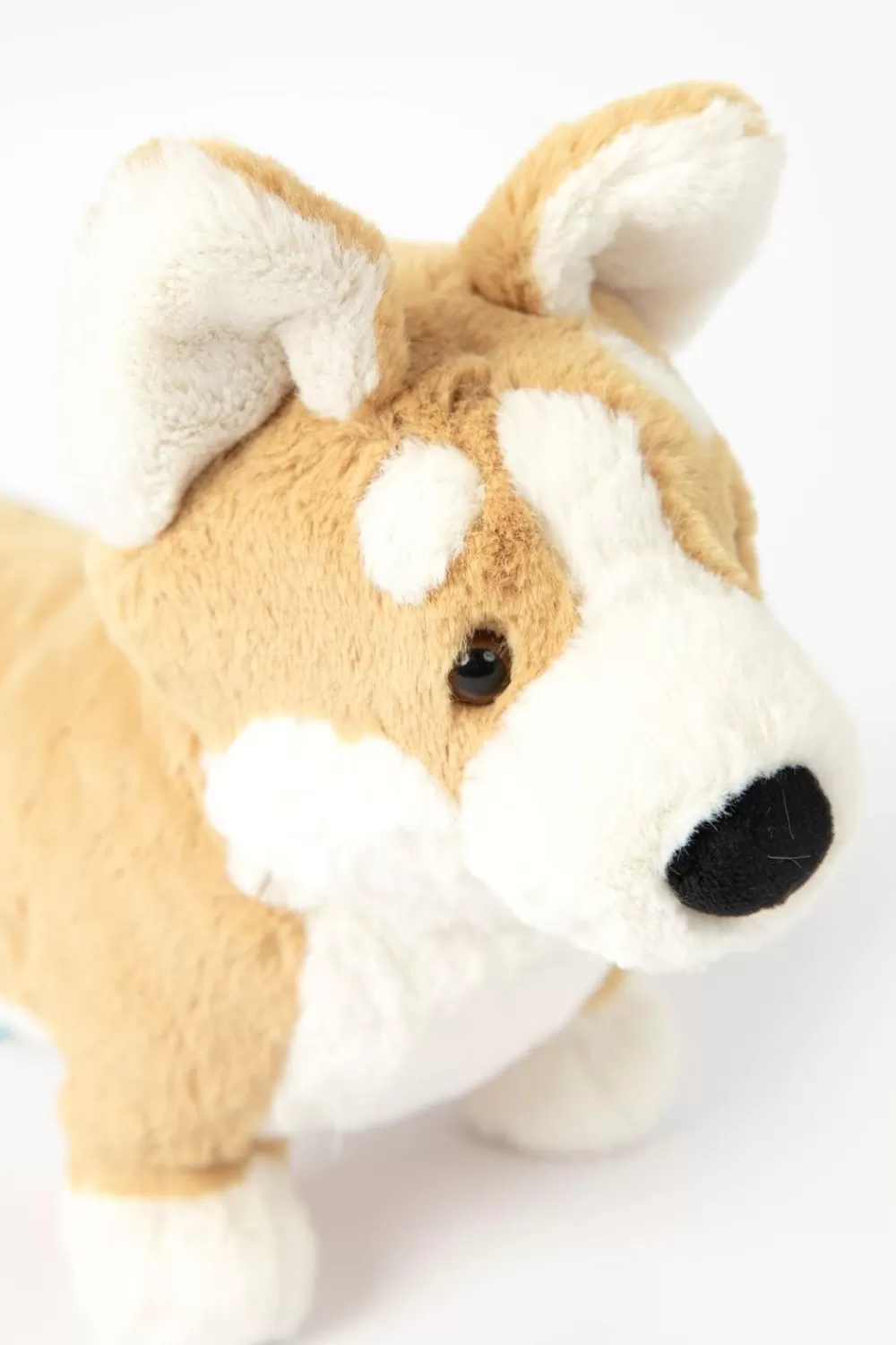 Kids Jellycat Knuffelbeesten> Corgi Knuffel Betty