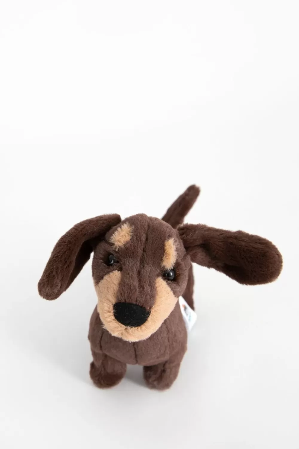 Kids Jellycat Knuffelbeesten> Teckel Knuffel Otto