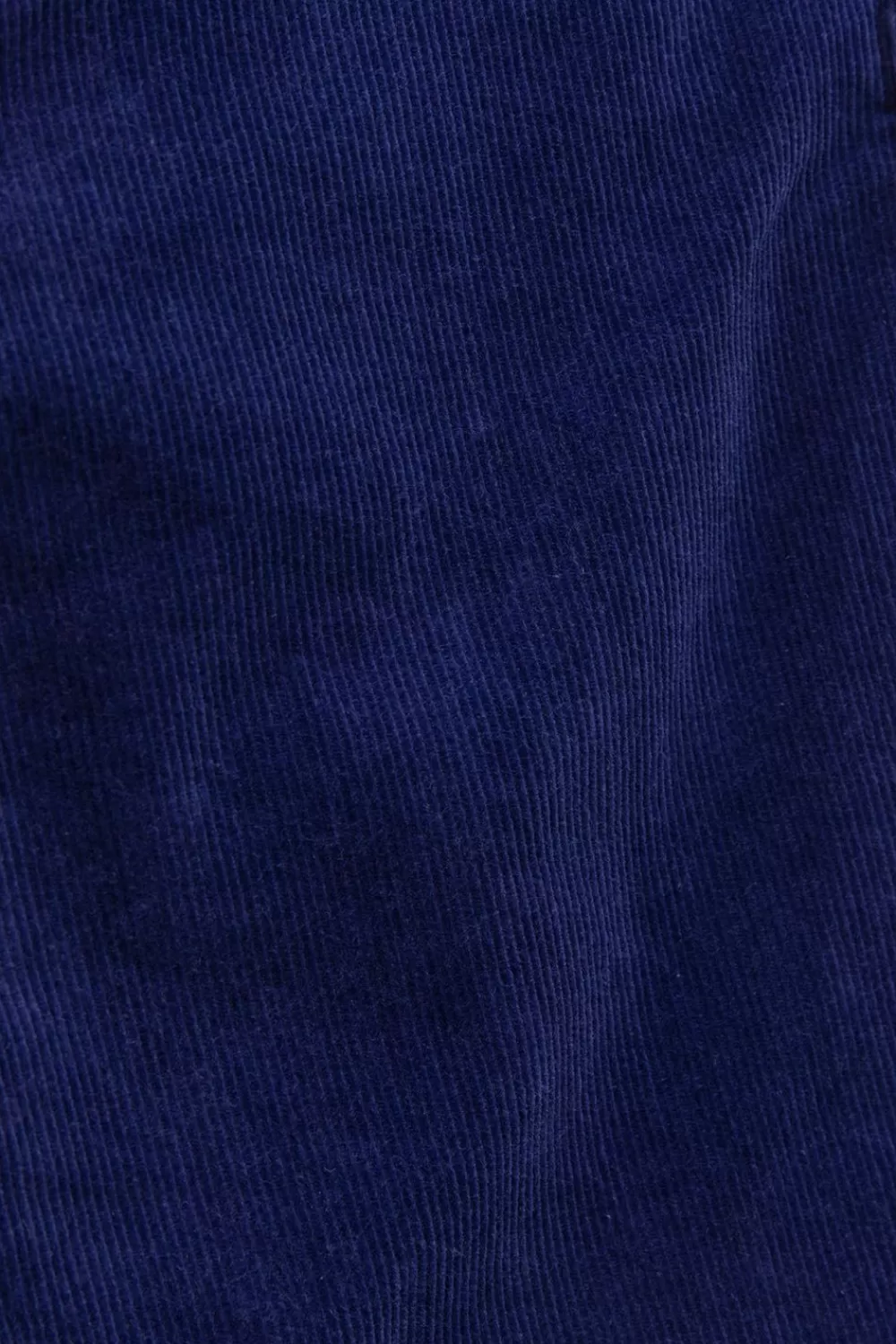 Dames LEE Broeken> Breese Donkerpaarse High Waist Flared Corduroy Broek