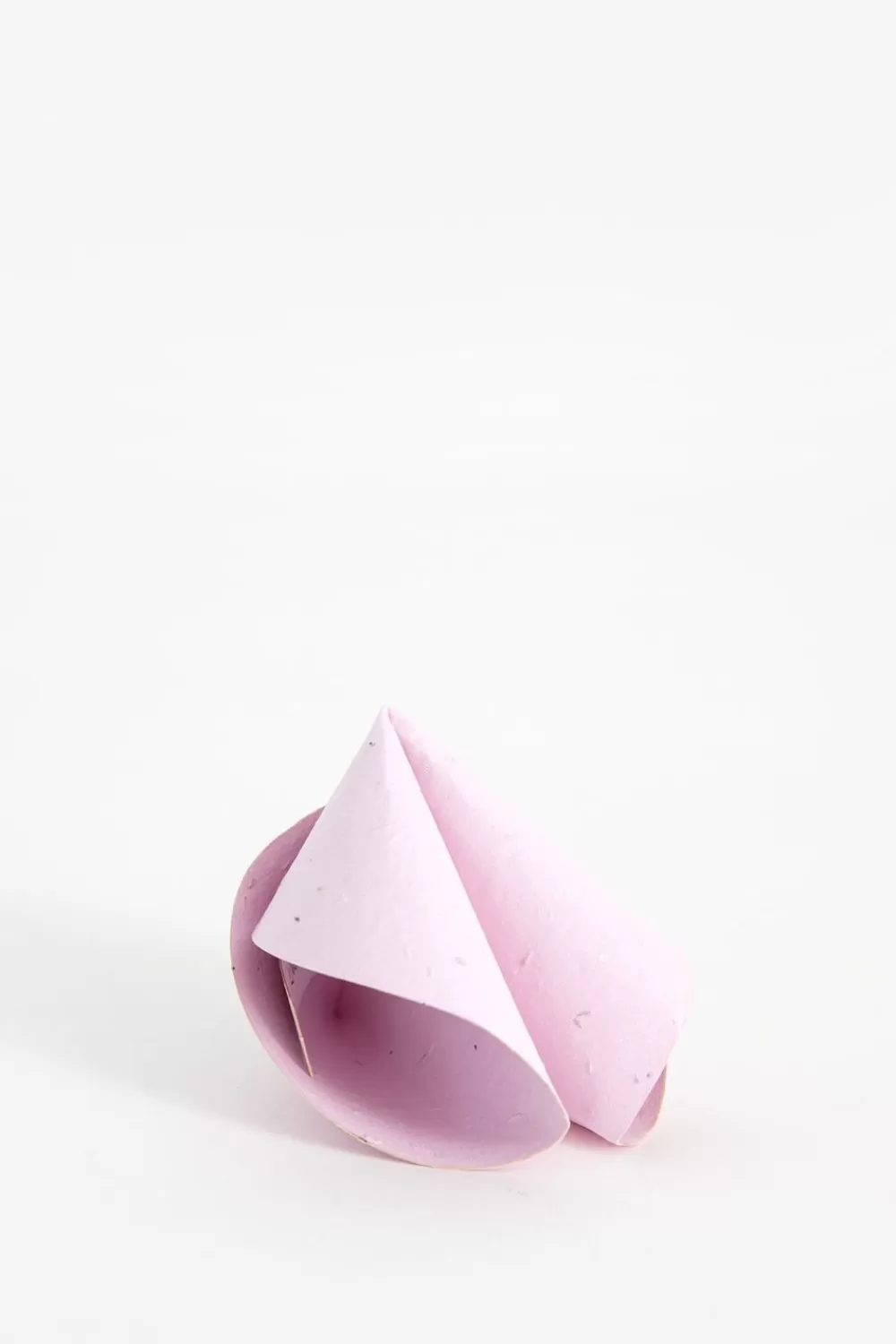 Niko Niko Tuinaccessoires> Plantbare Fortune Cookie