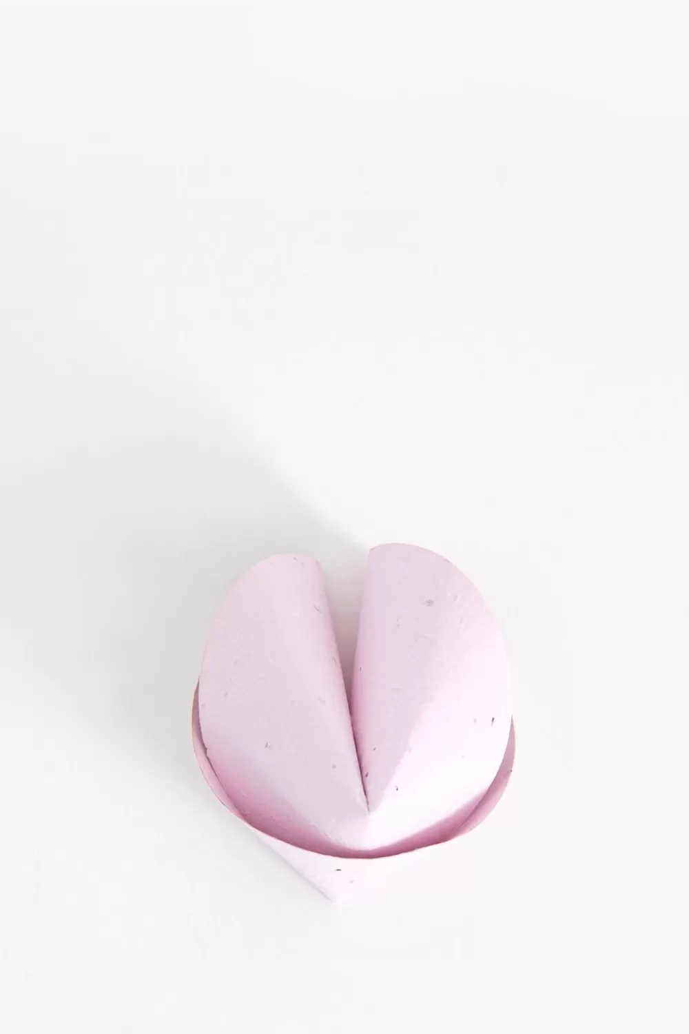 Niko Niko Tuinaccessoires> Plantbare Fortune Cookie