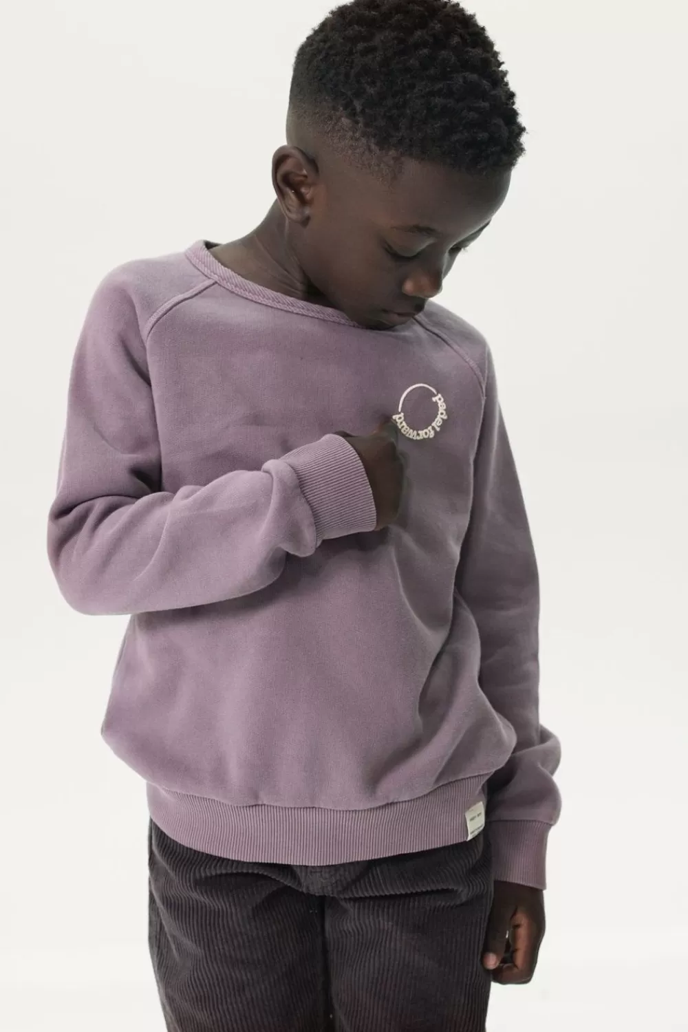 Kids Sissy-Boy Truien En Vesten>Paarse Raglan Sweater Met Print