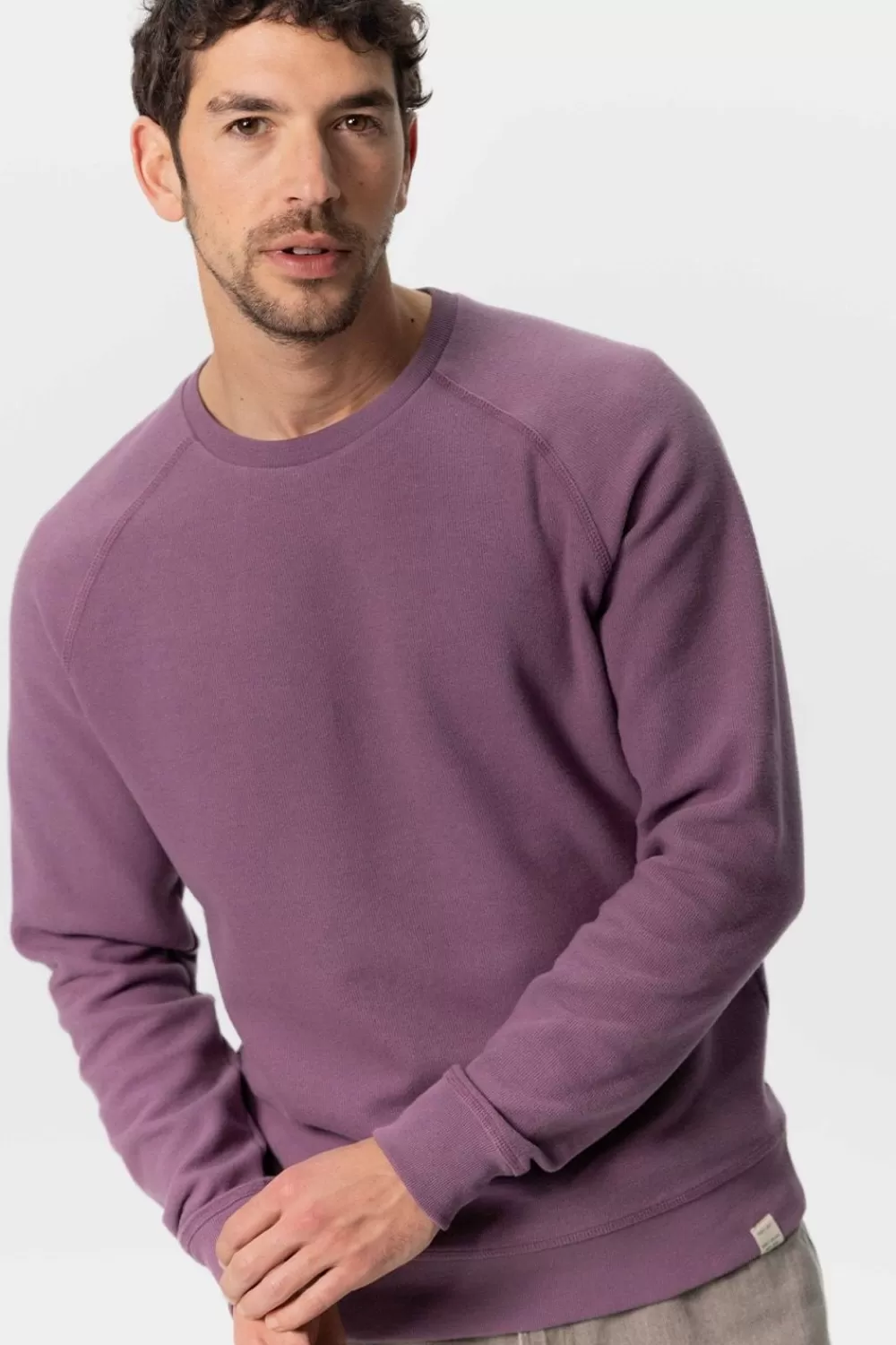Heren Sissy-Boy Truien En Vesten>Paarse Sweater