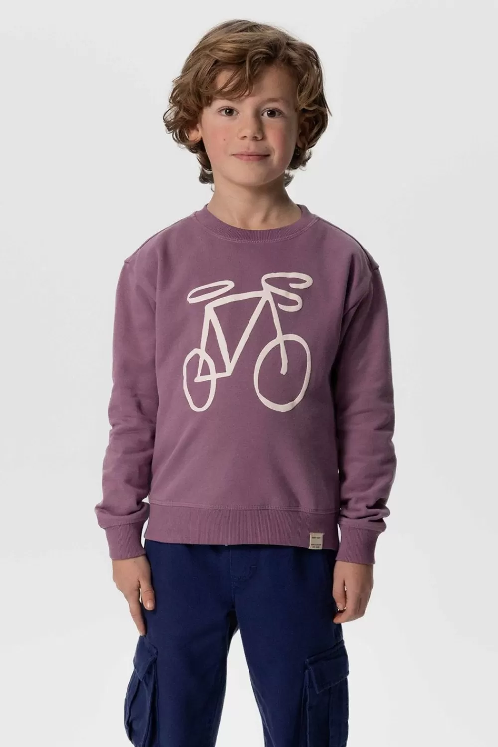 Kids Sissy-Boy Truien En Vesten>Paarse Sweater Met Fiets