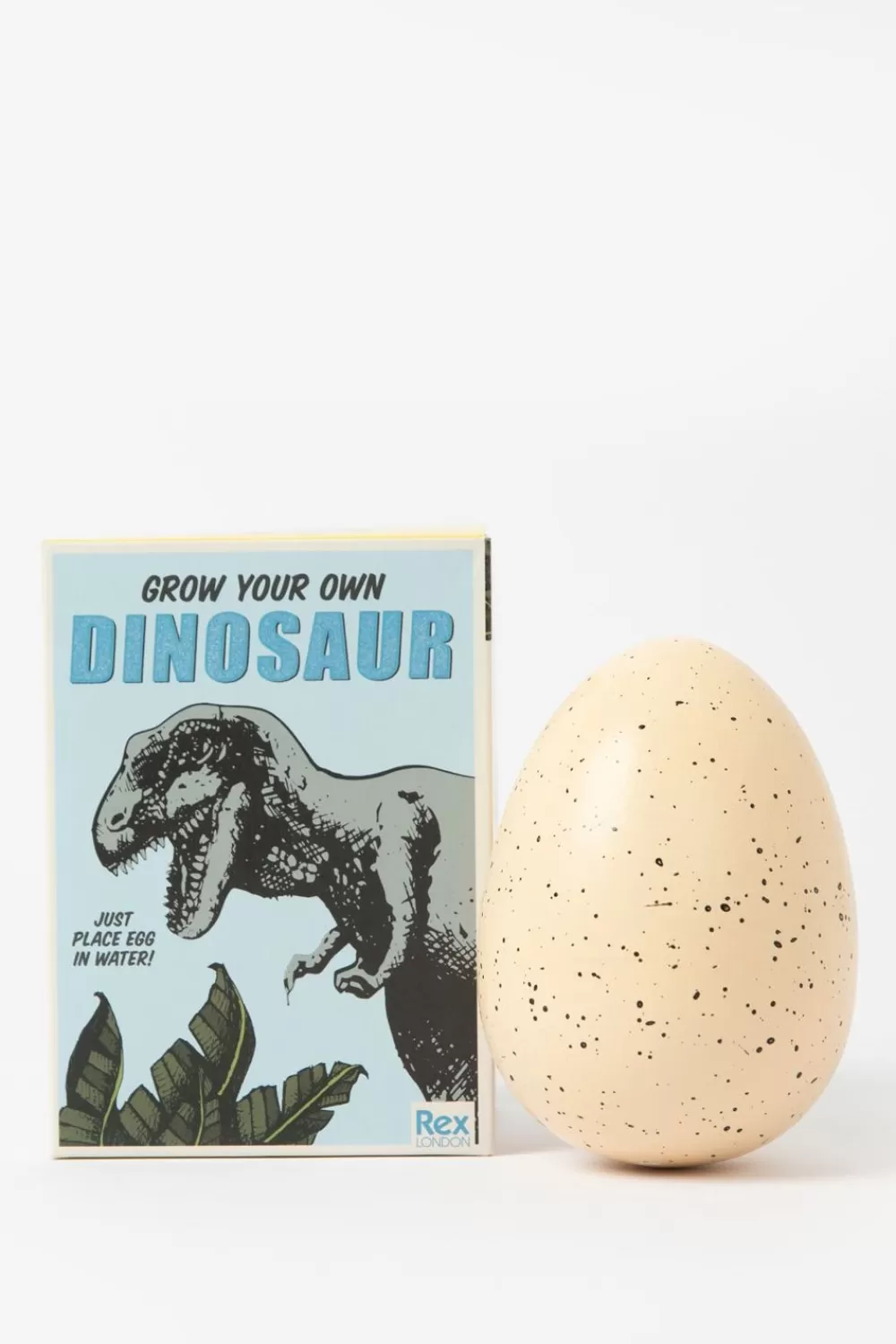 Kids Sissy-Boy Diverse Speelgoed>Rex London Grow Your Own Dinosaur